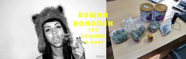 дурь Дмитриев