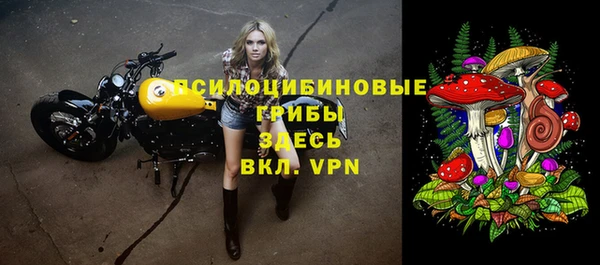 дурь Дмитриев