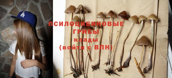 дурь Дмитриев
